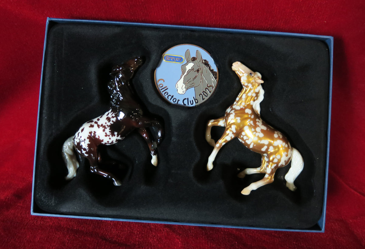 Darias & Moltten gold