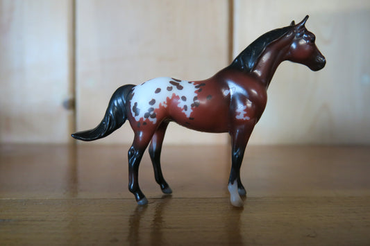 Bay Appaloosa with Blanket and Spots