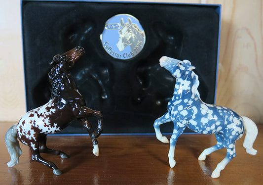 Darias & Wedgwood