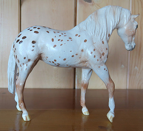 tradidional red leopard appaloosa