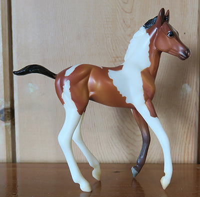 Paint Foal