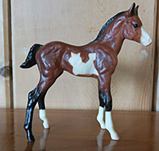 Pinto Foal