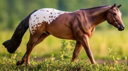 Chocolatey Appaloosa Stallion Model Horse